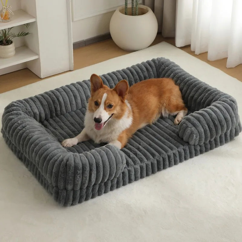 Verwöhnroutine für Ihren Hund
